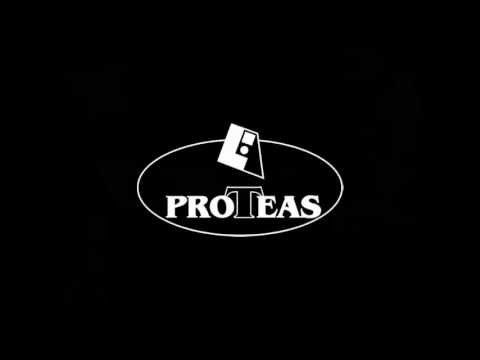 LOGO PROTEAS